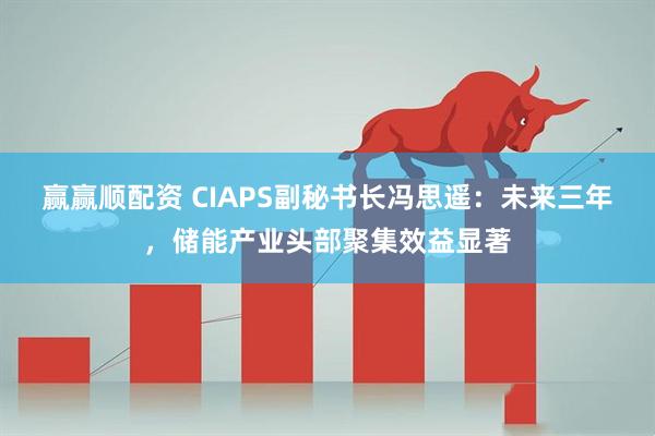 赢赢顺配资 CIAPS副秘书长冯思遥：未来三年，储能产业头部聚集效益显著
